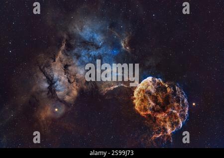 Nebulosa medusa in SHO IC443 Foto Stock