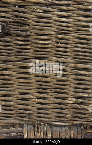 Trama e sfondo. Vecchio cestello in legno intrecciato, ST. Pietroburgo, Russia, Europa Foto Stock