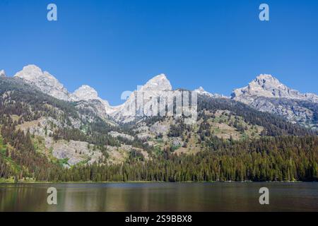 La catena montuosa del Grand Teton vista dalla riva del lago Bradley nel Grand Teton National Park, Wyoming, Stati Uniti Foto Stock
