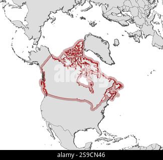 Mappa del Canada e dei paesi vicini, il Canada è evidenziato da una schiusa. Illustrazione Vettoriale