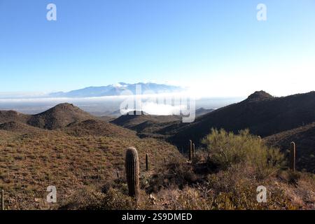 Vista sulle montagne Catalina di Wasson Peak Foto Stock