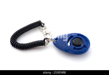 allenamento per cliker davanti a sfondo bianco Foto Stock