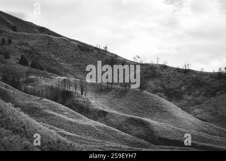 Vista in bianco e nero del Parco Nazionale di Bromo Tengger Semeru. Il cielo limpido illumina la cresta delle colline Foto Stock