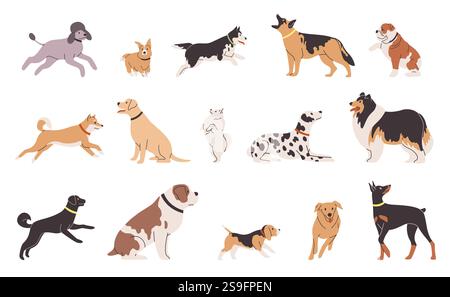 Cani di diverse razze. Buon bulldog, dalmata e corgi. Simpatico labrador, doberman e barboncino. Correre divertenti animali domestici. Stile piatto cartoni animati Illustrazione Vettoriale