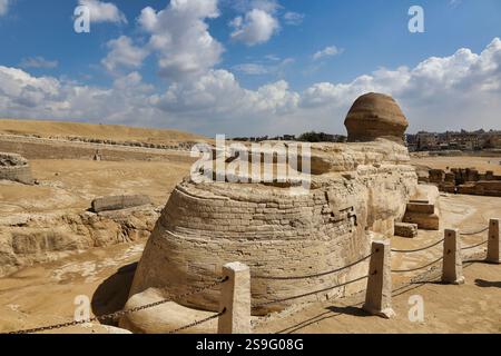vista posteriore della sfinge, una scultura di pietra calcarea con testa umana e corpo di un leone. Giza, Egitto Foto Stock
