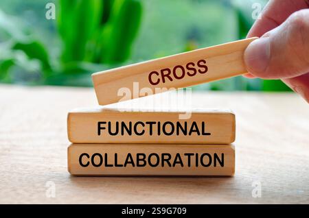 Testo di collaborazione interfunzionale su blocchi di legno. Concetto di business. Foto Stock