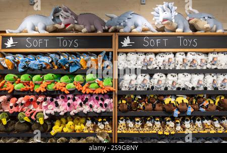 Giocattoli morbidi in vendita in un negozio di articoli da regalo, selezione di animali ripieni sugli scaffali, Regno Unito Foto Stock