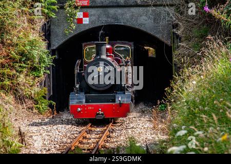 N. 6 locomotiva a vapore a scartamento ridotto Blickling Hall che emerge dal tunnel appena a sud di Aylsham sulla linea ferroviaria Bure Valley, Norfolk, Inghilterra Foto Stock