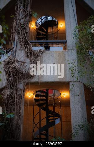 La vista all'interno del Barbican Conservatory, con tetto in vetro e verde, presenta piante e alberi tropicali, uccelli e pesci esotici Foto Stock