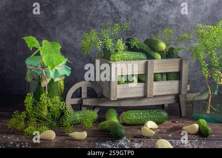 preparazione del cetriolo in salamoia, erbe fresche, aneto, aglio e cetrioli in un vaso di vetro. Conserve per l'inverno, conserve fatte in casa Foto Stock
