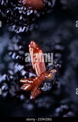 Realgar rosso. Esemplare di la ricamarie, St Etienne, Francia. Micro Photography primi piani estremi. Microscopio per la fotografia a cristalli minerali per il settore scientifico Foto Stock