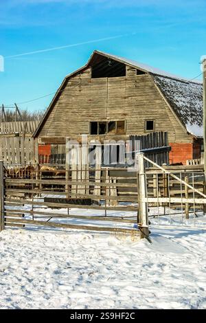 Un fienile con un tetto rosso e una recinzione bianca. Il fienile è vecchio e ha un aspetto rustico. La neve sul terreno e il fienile danno alla scena una tranquilla a Foto Stock