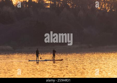 A Man and a Woman Stand Up Paddleboarding all'alba sul lago di Skene a fine autunno/inizio inverno Foto Stock