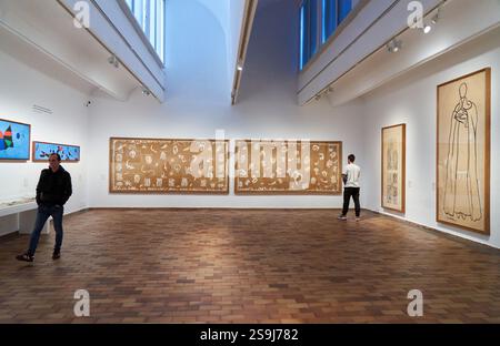 Oltre le immagini, Henri Matisse Joan Miró, Fundació Joan Miró, Barcellona, Spagna. Foto Stock