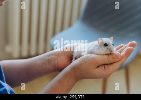 Una ragazza vestita con un vestito bianco tiene il suo criceto, sottolineando la bellezza dell'innocenza dell'infanzia e la cura degli animali domestici. Foto Stock