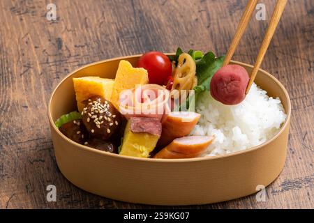 Pranzo al sacco wappa Bento Foto Stock