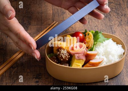 Pranzo al sacco wappa Bento Foto Stock
