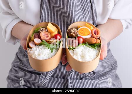 Pranzo al sacco wappa Bento Foto Stock