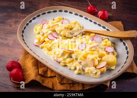 Insalata tradizionale fatta in casa di patate e uova con cetrioli sottaceto, cipolle e ravanello Foto Stock