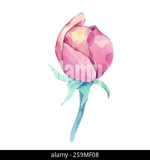 Bocciolo di fiori su uno stelo. Acquerello Foto Stock