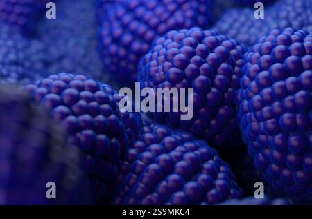 Cellule del cancro della prostata nell'epitelio ghiandolare prostatico - primo piano figura 3D Foto Stock