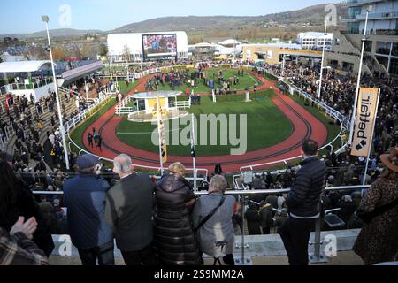 Corse di cavalli all'ippodromo di Cheltenham. Festival Trials Day, l'ultimo sabato di gennaio. Racegoers / Crowds foto di Mikal Ludlow Photography Foto Stock