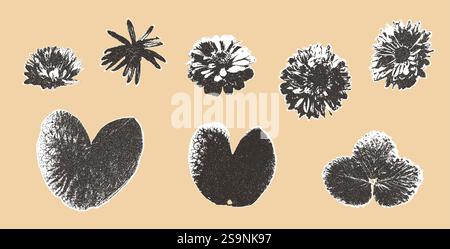 Adesivi collage fotocopie per fiori e foglie. Stampe floreali a stipiti con effetto monocromatico. Elemento botanico mezzitoni carta collage. Set di aperture per gazette Illustrazione Vettoriale
