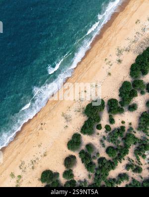 Una vista aerea di una spiaggia isolata con sabbia dorata, cespugli sparsi e dolci onde azzurre crea una fuga serena e tranquilla nella bellezza della natura. Foto Stock