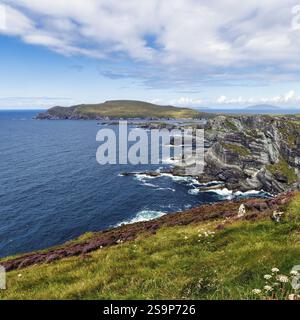 Aspre scogliere sull'Atlantico, Kerry Cliffs, Skellig Ring Scenic Road, Portmagee, Iveragh Peninsula, County Kerry, Wild Atlantic Way, Irlanda, Europa Foto Stock