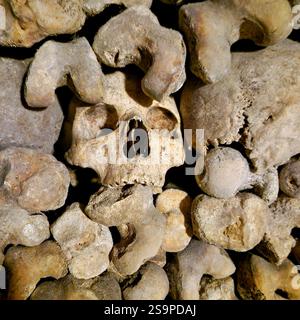 Le catacombe - Les Catacombes, Skullheads, Parigi, Francia Foto Stock