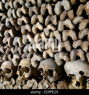Le catacombe - Les Catacombes, Skullheads, Parigi, Francia Foto Stock