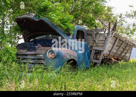 Un vecchio camion blu è seduto in un campo di erba. Il carrello è arrugginito e presenta un paraurti anteriore rotto. La scena è tranquilla e tranquilla, con l'unico così Foto Stock