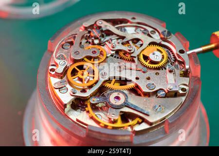 Intricata danza di meccanica scattata in primo piano che mostra la bellezza di un meccanismo di orologio da polso nella macro fotografia Foto Stock