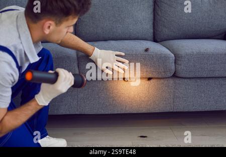 Giovane sterminatore in uniforme che illumina una torcia sugli scarafaggi che strisciano sul divano di casa. Foto Stock