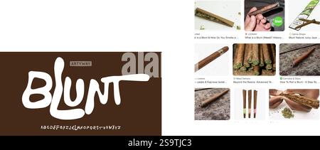 Alfabeto fluido e giovanile, lettere scritte a mano, carattere organico giocoso con curve eccentriche per un marchio unico, logo hip-hop, titolo tranquillo, moderno Illustrazione Vettoriale