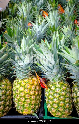 Ananas in vendita (Ananas comosus) in esposizione al banco del supermercato, Regno Unito Foto Stock