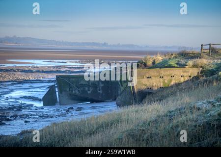 Vedute gelide dei Purton Hulks, navi deliberatamente sbarcate sul fiume Severn vicino a Sharpness per proteggere le rive tra l'estuario delle maree e il fiume Foto Stock