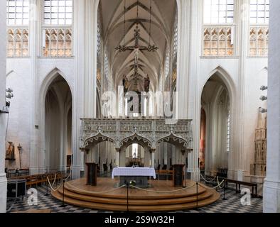 Interno della chiesa collegiata di San Pietro - Chiesa di San Pietro, Lovanio. Foto Stock