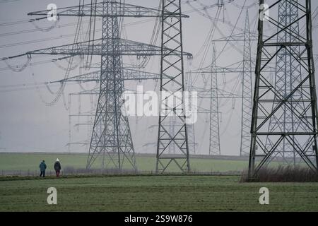 Grande linea elettrica, linee ad altissima tensione da 380 KV, vicino a Rommerskirchen, nebbia, inverno, camminatori su strada sterrata, Renania settentrionale-Vestfalia, Germania, Foto Stock