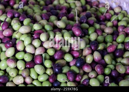 FES, Marocco. Olive locali in vendita Foto Stock
