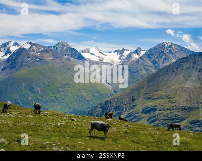 Vista verso il monte Zirmkogel, Mt. Gampleskogel, Mt. Ramolkogel, Mt. Schalfkogel. Valle Venter tal vicino a Vent nelle Alpi Otztal nel Parco naturale Otzta Foto Stock