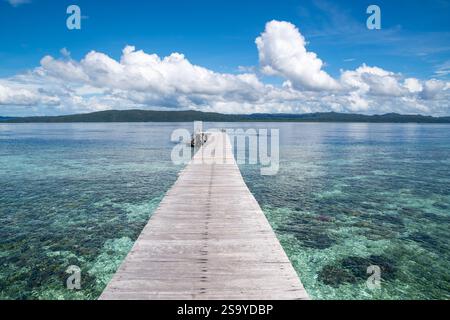 Un lungo molo di legno si estende nelle limpide acque turchesi, circondato da un tranquillo paesaggio marino e da cieli blu nuvolosi. Isola di Kri, Raja Ampat, Indonesia Foto Stock