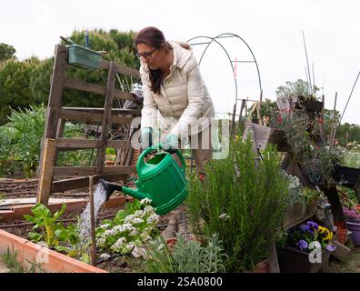 Donna che si prende cura di piante e fiori, innaffiare l'orto nell'azienda agricola urbana Foto Stock