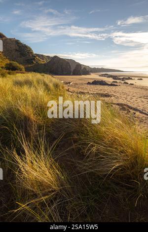 La riserva naturale nazionale di St Cyrus è una splendida spiaggia con dune di sabbia che danno vita alla fauna selvatica. Foto Stock