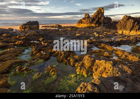 La riserva naturale nazionale di St Cyrus è una splendida spiaggia con dune di sabbia che danno vita alla fauna selvatica. Foto Stock