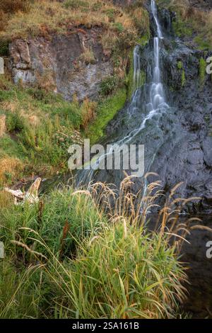 La riserva naturale nazionale di St Cyrus ha una piccola cascata che corre lungo la scogliera e sulla spiaggia Foto Stock