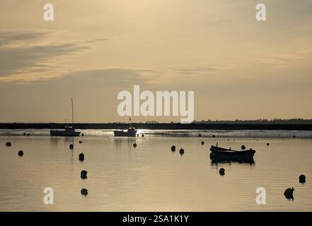 vista delle barche sul fiume nel tardo pomeriggio, sull'isola di mersea Foto Stock
