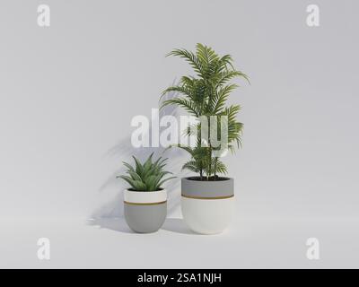 Due piante in vaso di diverse dimensioni posizionate fianco a fianco su sfondo bianco Foto Stock