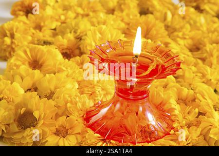 Lampada a olio in plastica e colore arancione HYBRID Zinnia Flowers, India, Asia Foto Stock