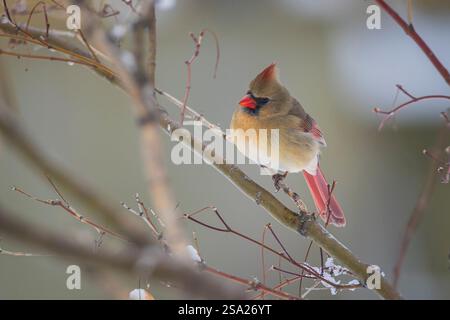 Fotografia Arte paesaggio natura natura natura tramonto notte acqua Montagne Foto Stock